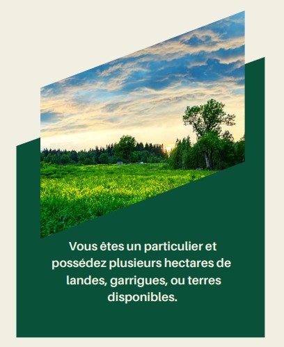 Wild Landscape
